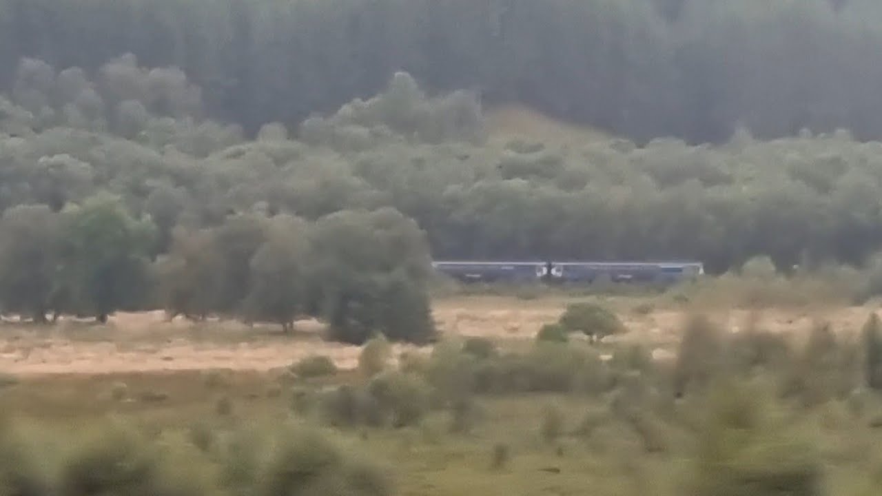 Scotrail 156499 & 156457 race 156450 towards Crianlarich on the 2x different WHLs - 29th August 2024