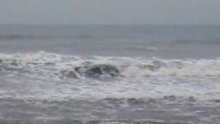 090304 chiba