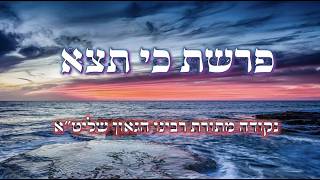 השיעור השבועי בתורת רבינו הגאון שליט"א ||  פרשת כי תצא       [שיעור משוחזר]