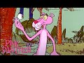 Pink Panther And The Little Bird | 35-Minute Compilation | Pink Panther Show