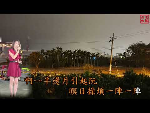 #半邊月 #今夜又擱塊落雨 - 謝桂珍 街頭演唱 精選編輯影片