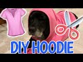 DIY DOG HOODIE AND CHEW TOY | Wacky Winnie