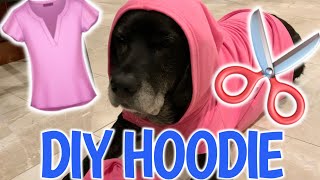 DIY DOG HOODIE AND CHEW TOY | Wacky Winnie