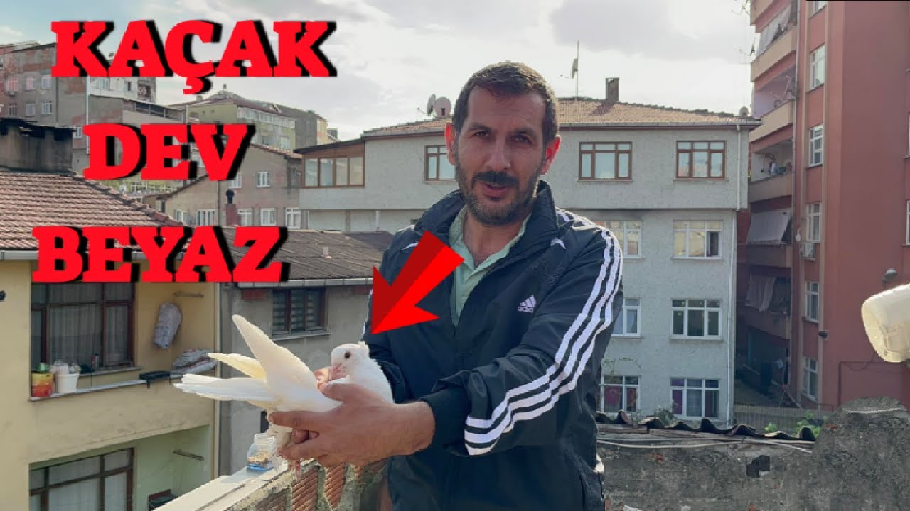 Kümes Ziyaretinde Kaçak Yağmuruna Tutulduk ( İki Tane Birden Yakaladık )