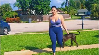 Hlmtube The Safest House On The Street