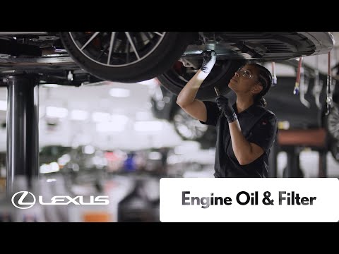 Lexus Service - Engine Oil &amp; Filter | Lexus