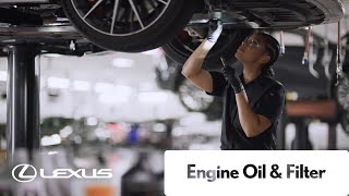 Lexus Service - Engine Oil & Filter | Lexus