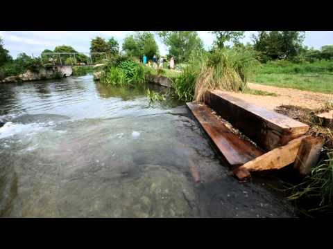 Dog dips installed on the Itchen Navigation at Sha...