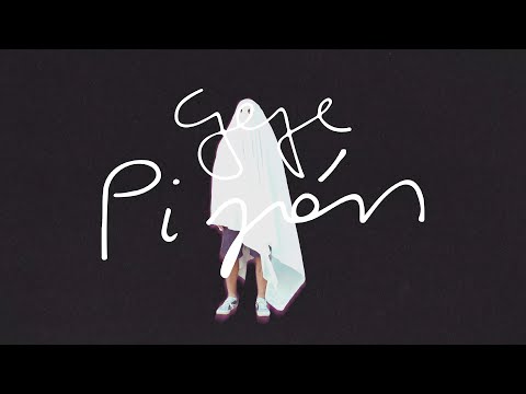 Gepe - Pipán (Visualizer)