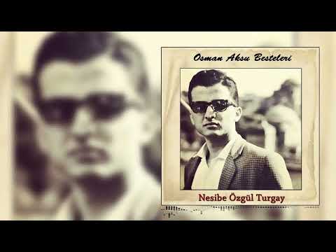 Nesibe Özgül Turgay