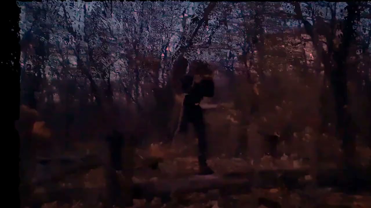 SCHIZOGOTH - INTROPARASITE (PROD BY CHRUST,GRADEN) [SNIPPET]