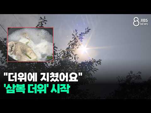 "더위에 지쳤어요" '<strong>삼복</strong> 더위' 시작/JIBS/제주/2026.07.15