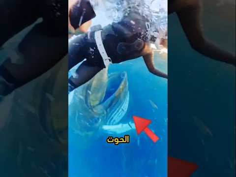 كاد الحوت يبتلع الغو اص لحظة مرعبة Shorts