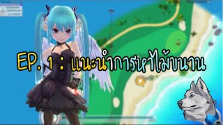 EP.1 : แนะนำการหาไม้ขนาน