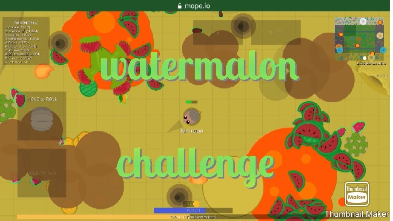 Watermelon challenge!// mope.ip