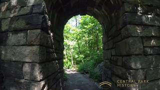 The Secret Wilderness Hidden in the Middle of Central Park