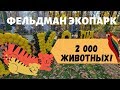 Фельдман Экопарк: посетить стоит!