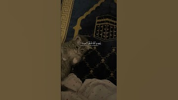 سورة النساء آية ١١٠ 💛| وَمَنْ يَعْمَلْ سُوءًا أَوْ يَظْلِمْ نَفْسَهُ ثُمَّ يَسْتَغْفِرِ اللَّهَ