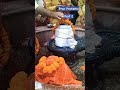 #shiva #shivlingabhishek #pranpratishthaceremony #pranpratishtha