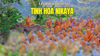 Tinh Hoa NIKAYA - 10 Điều Tâm Niệm Của Người Xuất Gia *