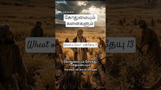 🌾இதைக் கேளுங்கள்! கோதுமையும் களைகளும் உவமை  #Shorts