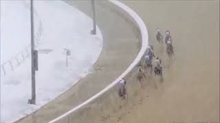 Full R7 Colonial Downs 12 Mar 2026 Update