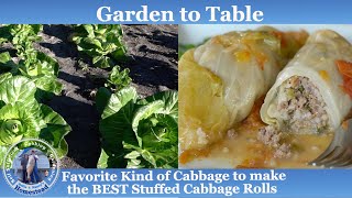 Stuffed Cabbage Rolls | Garden to Table