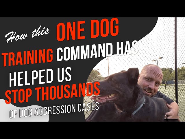 how to stop aggressive barking