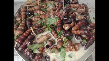 Cách làm Ốc Len,Ốc Viết xào nước cốt dừa, ngon ngất ngây