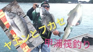 19年8月11日 高知県甲浦 筏 アオリイカヤエン フカセ釣り Youtube