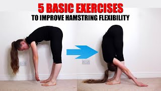 5 BASIC HAMSTRING STRETCHES TO IMPROVE YOUR HAMSTRING FLEXIBILITY Details