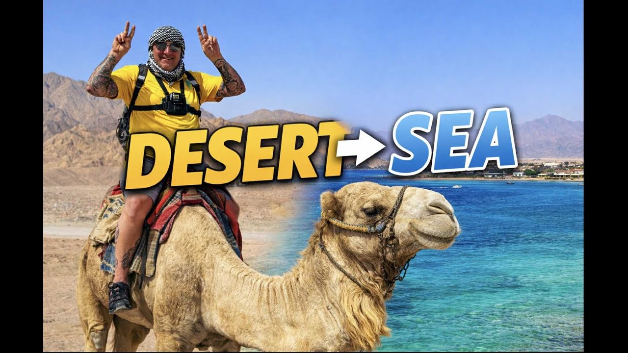 Desert Jeeps to Coral Reefs : Egypt's Ultimate Day Trip