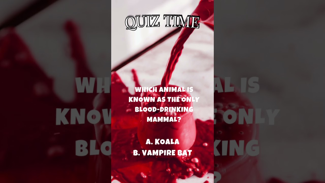 Blood drinking Mammal? 