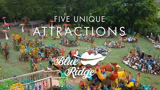 5 Unique Attractions - Blue Ridge, Georgia