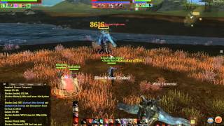 Two bots one loot, Archeage farming