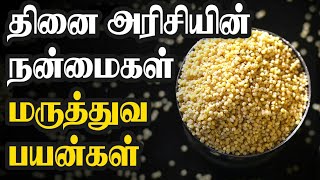 தினை அரிசியின் நன்மைகள்|Foxtail millet benefits in tamil|Thinai arisiyin payangal |Nalamana Vazhvu.