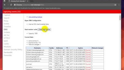 How to clear/flush the DNS cache in Google Chrome?