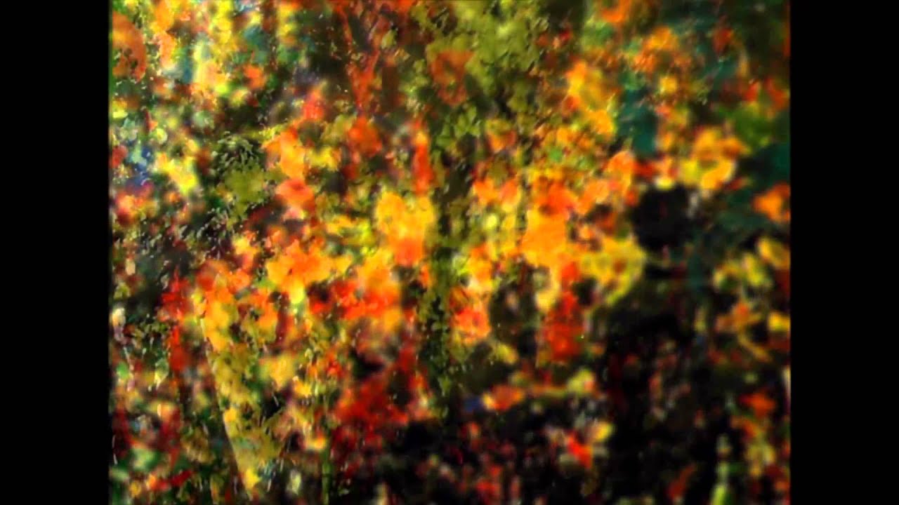 Elojac & DJ Anderson  "Tema para Elza"