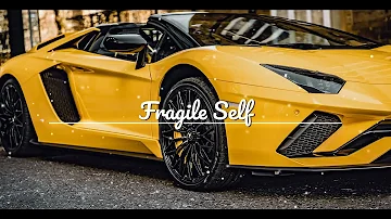 Animadrop - Fragile Self [Bass Boosted] || A4V!