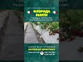 Кулпунай бизнесин баштайм десең, консультация боюнча видеодогу номерге кайрылгыла👆🏻 #флоридабьюти