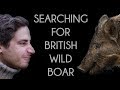 Searching for British Wild Boar - Forest of Dean