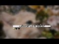 وعند الله تلتئم الجراح اناشيد اسلامية حزينة