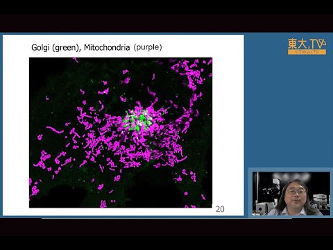 日本版IFEEL Picturesに対する反応特性の研究 hqdefault.jpg