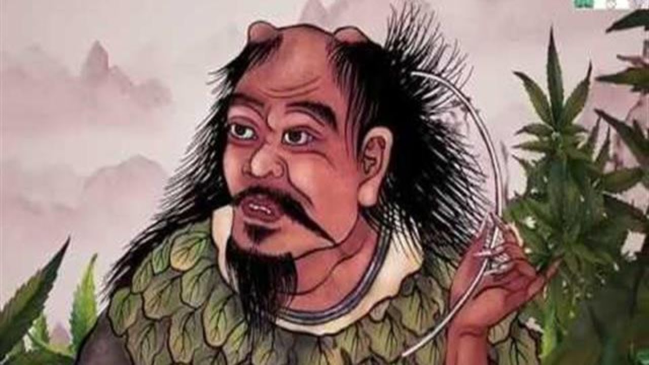 Cannabis History - How Marijuana have Evolved Over the Years 420 MMJ  420GROWLIFE Anime Video