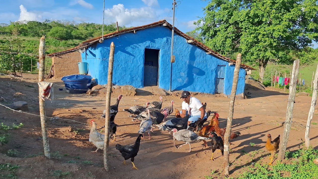 Depois das chuvas ⛈️ nosso sertão nordestino já mudou muito 🙏