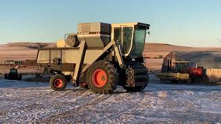 GLEANER L3 For Sale