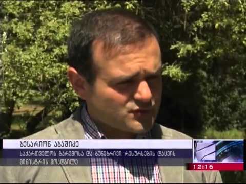 სენტ-კიტსის და ნევისის დროშით მცურავი გემი 65 000 ლარით დაჯარიმდა