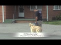 Golden Retriever Angus Before/After Heel Lesson! Best Dog Training in Northern Virginia Golden Retriever Angus Before/After Heel Lesson! Best Dog Training in Northern Virginia