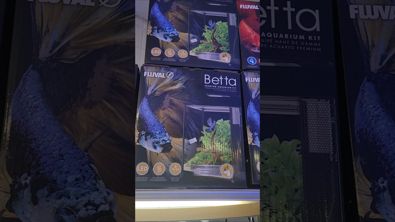 Аквариум Fluval для бойцовых рыбок. Отличный аквариум по отличной цене. Очень рекомендую!