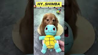 finding right toys 🐶 | New Episodes 😂 | Part 1 🎬🐾 #shorts , #animals , #funnyvideo